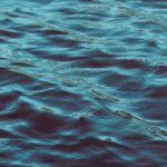 pexels-thiago-calamita-1862285-35911195